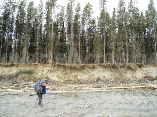 Original Digital object not accessible