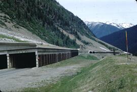 Snowsheds in Rogers Pass