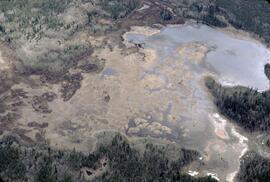 Aerial view of Cale swamp in the Chilcotin