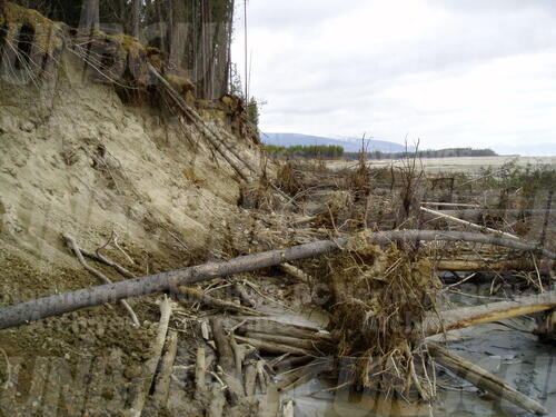 Original Digital object not accessible