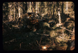 Heavy equipment in operation at Aleza Lake Experiment Station