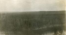 View of Nechako River near junction of Stuart River with lot 912 in foreground