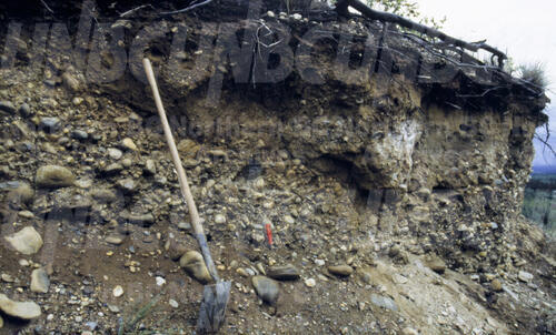 Original Digital object not accessible