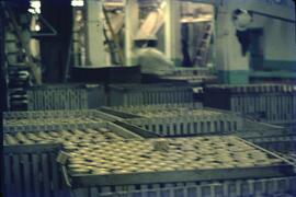 Canned fish on flats at Cassiar Cannery in Port Edward
