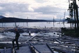 Debris on Knewstubb Lake