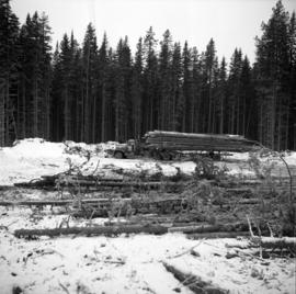 Pulpwood Logging Operations on P.T.S. X91960, Swamp Lake, Prince George Pulp and Paper Ltd. showing typical landing with tree length material