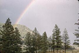 Rainbow at Williams Lake