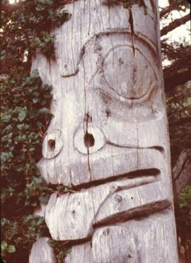 Ninstints totem poles at Anthony Island