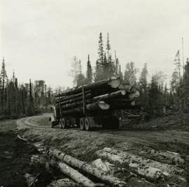 Loaded logging truck on way to log dump on Eagle Lake on East Loop Road, Aleza Lake Forest Experi...