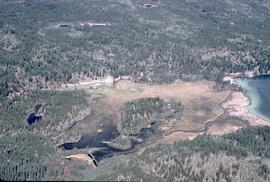 Aerial view of swamp acclimation at Sheridan Lake