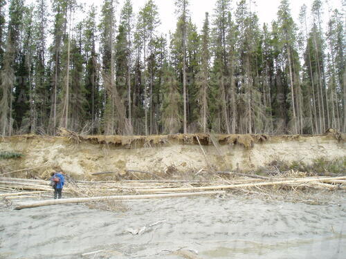 Original Digital object not accessible