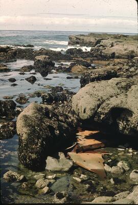 Remnants of a boat wreck at southern area of Mabens Beach