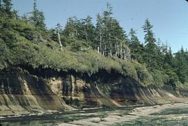 Sedimentary rock profile on seashore between Cullite and Thrasher Cove on the West Coast Trail