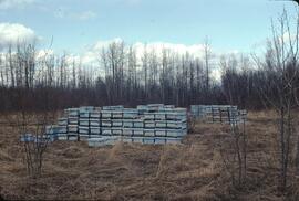 Beekeeper hives near Taylor, BC