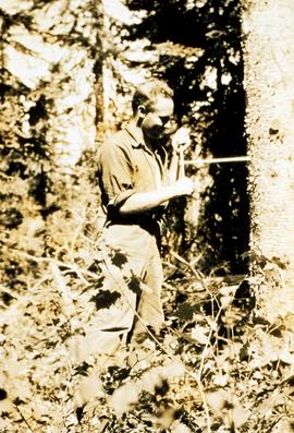 Braham Griffith using an increment borer to obtain age of a spruce tree