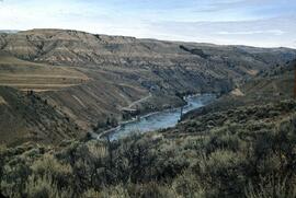 Dry landscape along the Chilcotin River