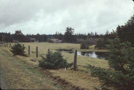 Greenbelt farm property near Tlell River