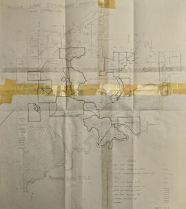 Aleza Lake Experiment Forest with Working Circle Annotations