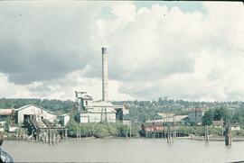 Mill at New Westminster