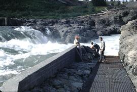 Fish ladder at Moricetown