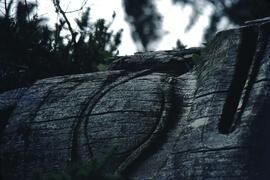 Ninstints totem poles at Anthony Island