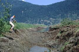 Herb Luttmerding digging soil profile in ditch cut at Pitt Polder, Lower Fraser Valley
