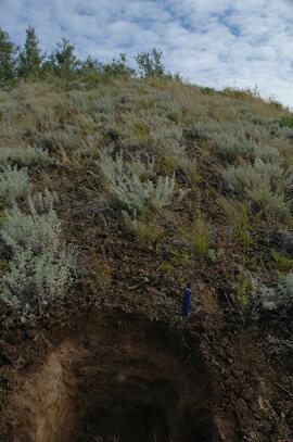 Tuya River valley soil at site BC07-01