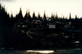 Aleza Lake Garbage Dump