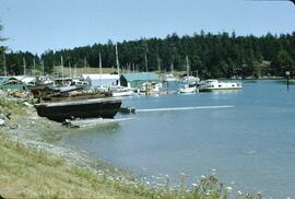 Swartz Bay Marina
