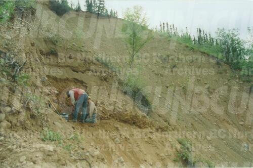 Original Digital object not accessible