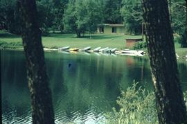 Boats on shoreline at McLeese Lake