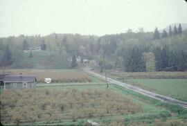 Farmlands at Matsqui