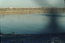Iona Island sewage treatment plant