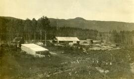 Lumber yard at Fort Fraser