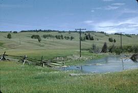 Cariboo rangelands near Lac La Hache