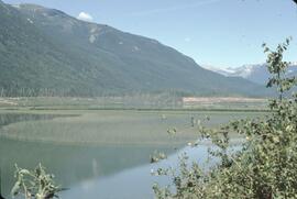 Waterfowl area and clearing near Mica Dam