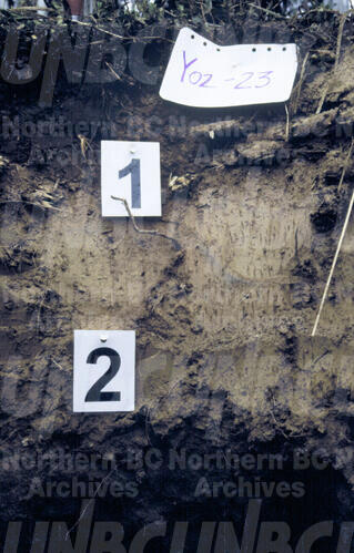 Original Digital object not accessible