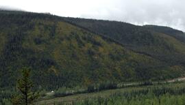 Panoramic view of north-facing slope overlooking the Tetsa River crossing of the Alaska Highway
