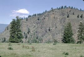 View from McCulloch Road