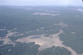Aerial view of swamp and forest landscape north of China Head Mountain