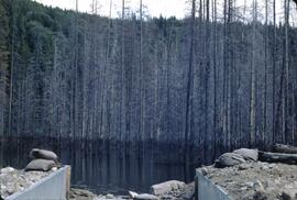 Settling pond for coal mining at Ptolmey Pass