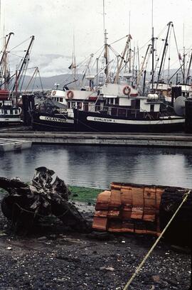 Ocean Marl and Qualicum L. boats at Alert Bay docks