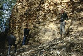 Fossil beds at Driftwood Creek