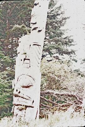 Ninstints totem poles at Anthony Island