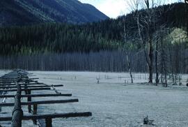 Mine tailings at Mineral King Mine, Toby Creek