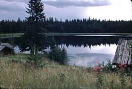 Tamarack Lake near the Bednesti Lake Ecological Reserve