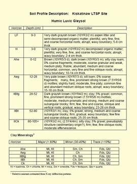 "Soil Profile Description: Kiskatinaw LTSP Site"