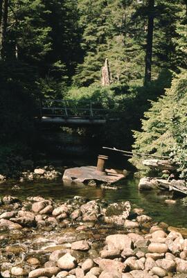 Wooden bridge over debris in creek in the Tsuquanah-Nitinat area on the West Coast Trail