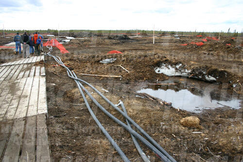 Original Digital object not accessible