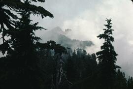 Goat Mountain